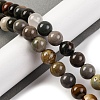 Natural Picture Jasper Beads Strands G-H037-A01-03-2