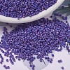 MIYUKI Delica Beads X-SEED-J020-DB0880-1