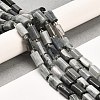 Natural Eagle Eye Stone Beads Strands G-G068-A24-01-2