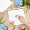 Dried Embossed Paper DIY-WH0622-646C-3