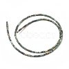 Natural African Turquoise(Jasper) Beads Strands G-F631-B15-2