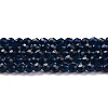 Transparent Glass Beads Strands GLAA-H021-04-28-2