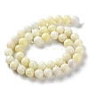 Natural Jade Beads Strands G-L609-A01-01-3