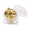 Foil Flakes DIY-E032-02B-1