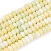 Ombre Effect Dyed Glass Beads Strands GLAA-T030-07A-05-1