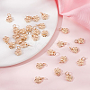 40Pcs Rack Plating Alloy Charms FIND-BBC0004-44-4