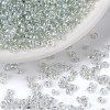 12/0 Glass Seed Beads SEED-A006-2mm-101-1