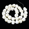 Natural Trochid Shell/Trochus Shell Beads Strands SSHEL-S266-003-2