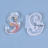 Letter DIY Silicone Molds X-DIY-I034-08S-3