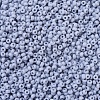 MIYUKI Round Rocailles Beads X-SEED-G007-RR0498-3