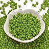 Opaque Colours Glass Seed Beads SEED-C001-02B-09-2