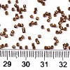 FGB 11/0 Grade A Baking Paint Glass Seed Beads SEED-S030-1031-4