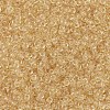 MIYUKI Round Rocailles Beads X-SEED-G007-RR0132L-3