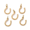 Ion Plating(IP) 304 Stainless Steel Charms STAS-S105-T519G-1