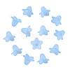 Transparent Acrylic Beads PLF018-06-2