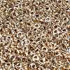 TOHO 6/0 Demi Round Beads Y-SEED-DR06-0989-2