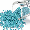 11/0 FGB Grade A Baking Paint Glass Seed Beads X-SEED-N001-A-1016-1