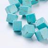 Natural Magnesite Beads Strands TURQ-K003-20B-3
