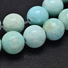 Natural Howlite Beads Strands TURQ-P027-17-8mm-1