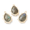 Natural Labradorite Pendants G-B009-02G-G-1
