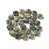 Natural Rhyolite Jasper Beads Strands G-NH0004-011-3