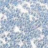Luminous Glass Seed Beads SEED-A033-07G-4