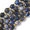 Natural Sodalite Beads Strands G-F809-A19-01A-2