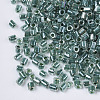 8/0 Two Cut Glass Seed Beads SEED-S033-10A-03-2