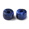 Natural Sesame Jasper/Kiwi Jasper Imitation Lapis Lazuli Beads G-G0003-A07-3