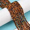 Natural Tiger Eye Beads Strands G-B045-A01-4
