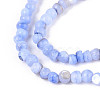Natural Freshwater Shell Dyed Beads Strands SHEL-T020-29B-01-3