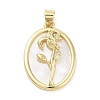 Rack Plating Brass Pave Shell Pendants KK-Z064-28G-03-1