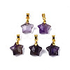 Natural Amethyst Charms X-G-N326-142-03-1