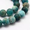 Natural Apatite Beads Strands G-K193-8mm-12-3