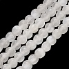 Natural Selenite Beads Strands G-K336-02-1