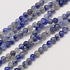 Natural Gemstone Blue Spot Jasper Round Beads Strands X-G-A130-3mm-21-1