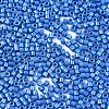 11/0 Grade A Baking Paint Glass Seed Beads X-SEED-S030-1042-2