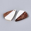 18Pcs 9 Styles Opaque Resin & Walnut Wood Pendants RESI-N053-24-2
