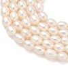 Natural Cultured Freshwater Pearl Beads Strands PEAR-D003-01D-15-4