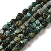 Natural African Turquoise(Jasper) Beads Strands G-D081-A05-1