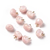 Sparkle Opaque Resin Charms RESI-E019-01G-03-1