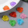 Autumn Theme Transparent Frosted Acrylic Pendants PAF002Y-7