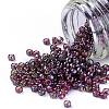 TOHO Round Seed Beads SEED-TR11-0425-1