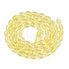 Transparent Glass Beads Strands GLAA-N071-01A-A02-2