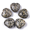 Natural Dalmatian Jasper Healing Stones G-R418-26-2-1