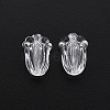 Transparent Acrylic Beads TACR-T003-18-2