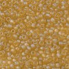 TOHO Round Seed Beads SEED-JPTR08-0162F-2