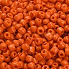 6/0 Glass Seed Beads X2-SEED-A010-4mm-50-3