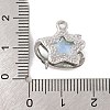 Alloy & Resin Pendants FIND-G081-01C-P-3