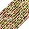Natural Unakite Beads Strands G-P575-A12-4x2mm-01-2